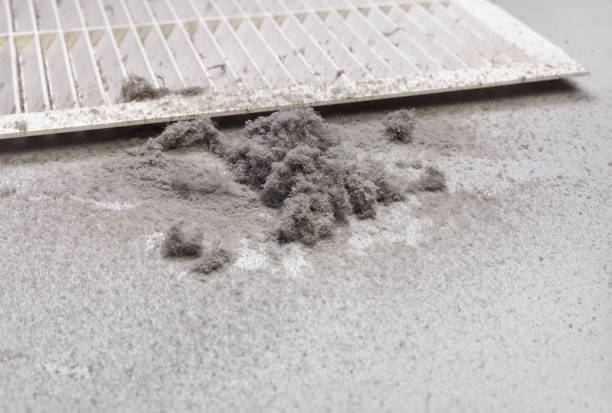 Best Commercial Air Duct Cleaning  in Seyur, MO
