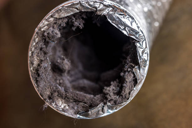 Ductwork Cleaning Services in Seymour, MO