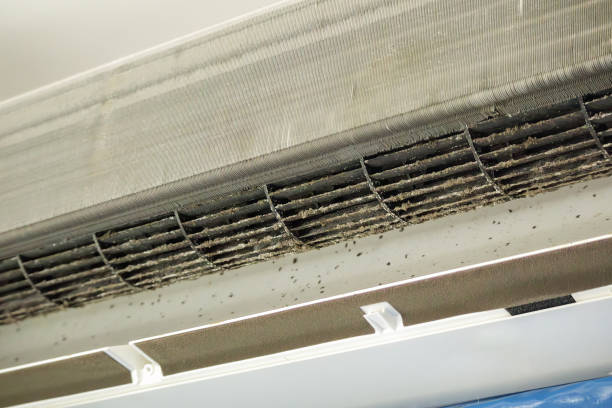 Best Local Air Duct Cleaning Services  in Seyur, MO