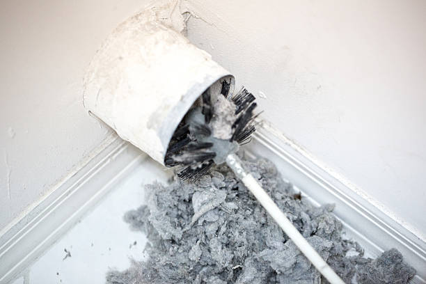 Best Home Air Vent Cleaning  in Seyur, MO